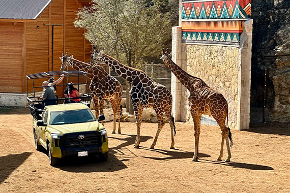 San Antonio Zoo